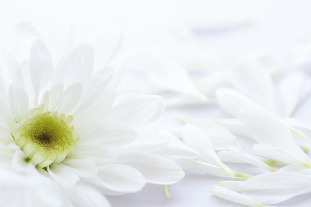 不用品のかたづけ